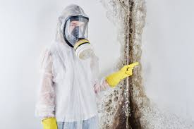 Best Water Damage & Mold Remediation  in Isla Vista, CA